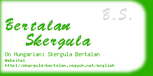 bertalan skergula business card